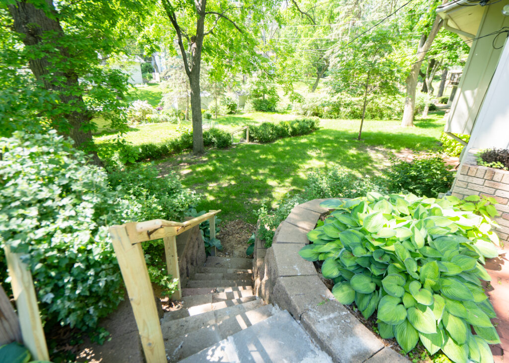 Garden path and mature trees